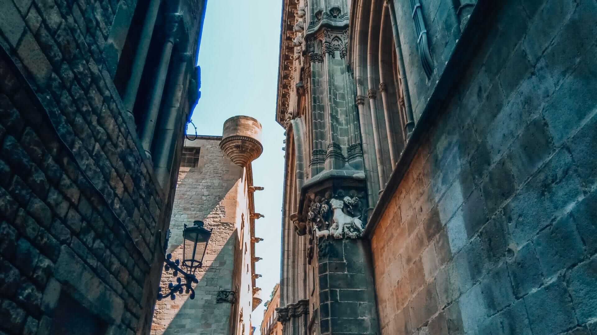Narrow view of Carrer dels Comtes beside the Cathedral of Barcelona, with detailed Gothic carvings and medieval stone walls.