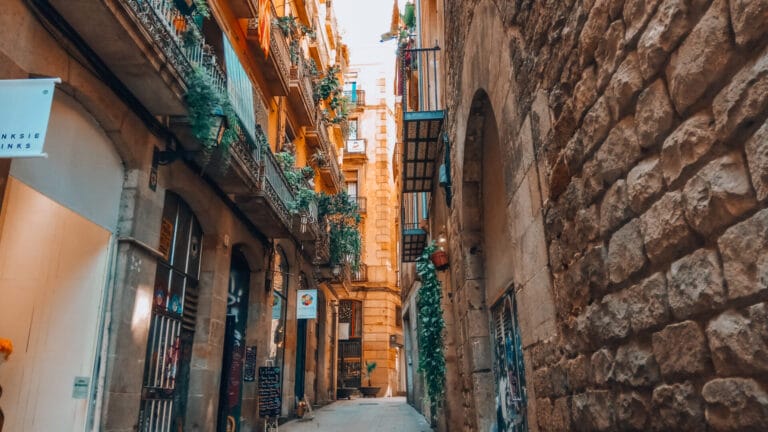 Narrow alleyway on Carrer de Viladecols in Barcelona’s Gothic Quarter with old stone walls, balconies, and plants.